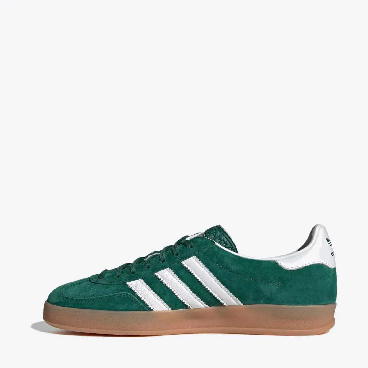 Gazelle Indoor